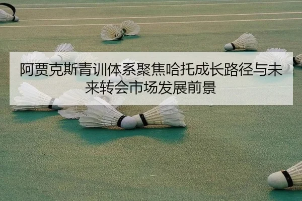 阿贾克斯青训体系聚焦哈托成长路径与未来转会市场发展前景